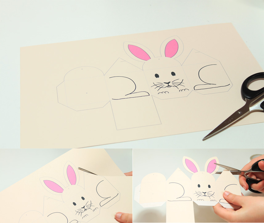 bunny_box_002